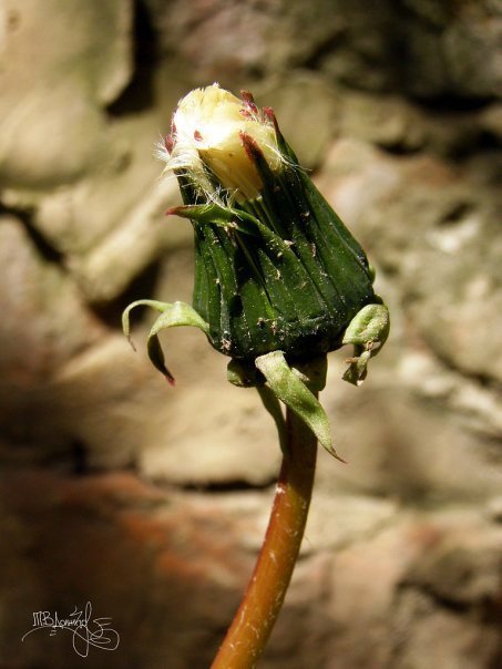 Фотовиставка Тетяни Должко